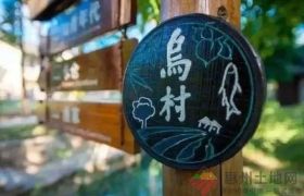 案例分享！20個鄉(xiāng)村振興案例，個個都是全國標(biāo)桿