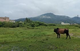 惠陽永湖占地4萬平方工業(yè)用地出售